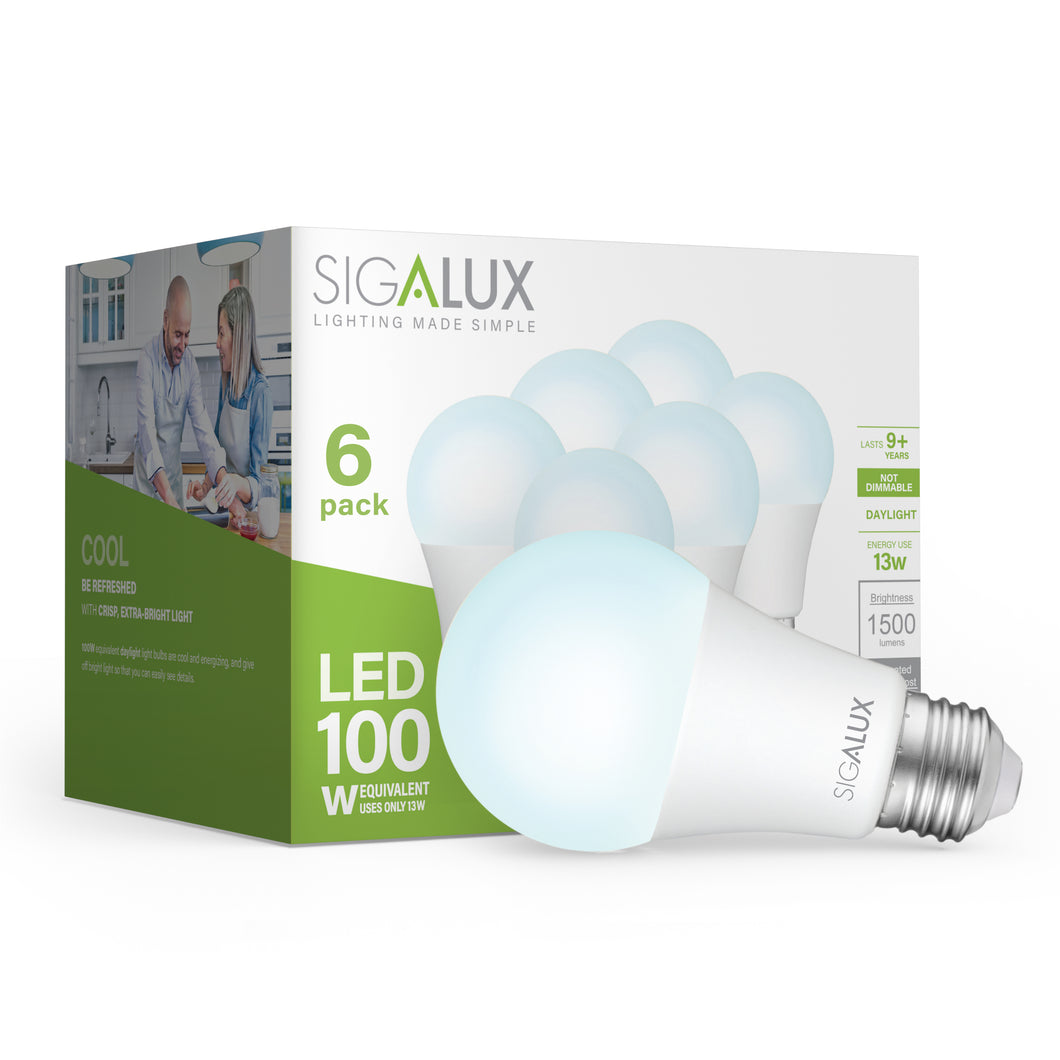 100 Watt Equivalent Daylight A19 LED Bulb