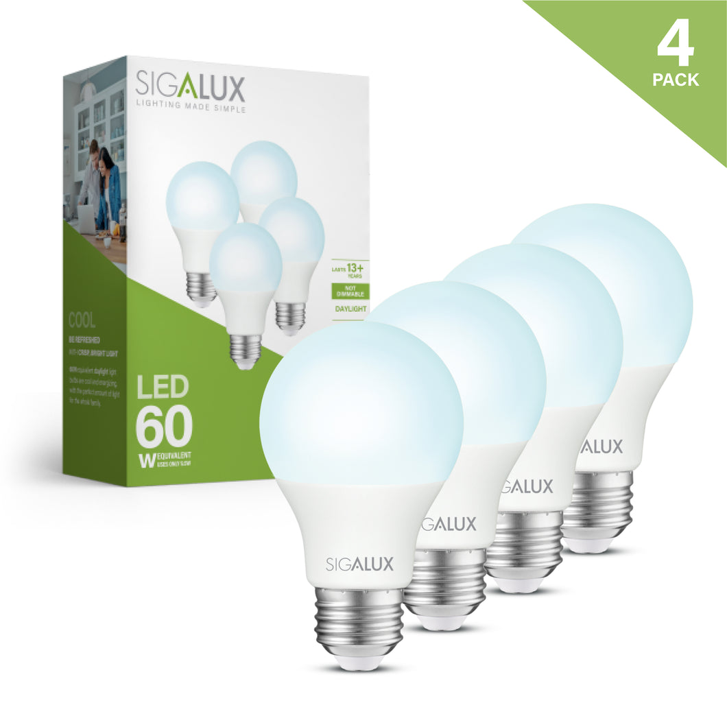 60 Watt Equivalent Daylight A19 LED Bulb