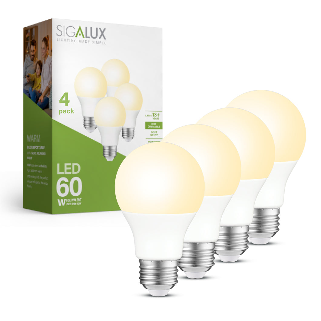 60 Watt Equivalent Soft White A19 LED Bulb