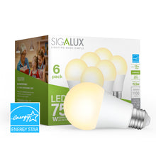 Load image into Gallery viewer, 75 Watt Equivalent Soft White Dimmable A19 Bulb
