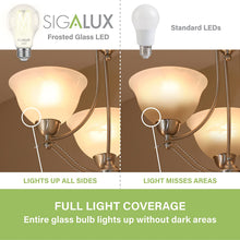 Load image into Gallery viewer, 75W Equiv. Clear Glass Filament A19 Soft White Dimmable LED Bulb
