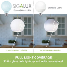 Load image into Gallery viewer, 60W Equiv. Frosted Glass Filament G25 Daylight Dimmable LED Bulb
