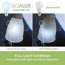 Load image into Gallery viewer, 60W Equiv. Frosted Glass Filament A19 Daylight Dimmable LED Bulb

