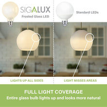 Load image into Gallery viewer, 60W Equiv. Frosted Glass Filament G25 Soft White Dimmable LED Bulb
