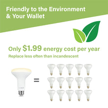 Load image into Gallery viewer, 100 Watt Equivalent Soft White Dimmable BR30 LED Bulb
