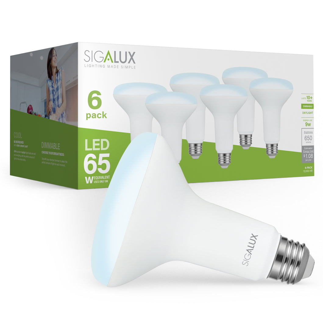 65 Watt Equivalent Daylight Dimmable BR30 LED Bulb