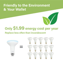 Load image into Gallery viewer, 100 Watt Equivalent Daylight Dimmable BR30 LED Bulb
