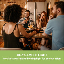 Load image into Gallery viewer, 60W Equiv. Amber Glass Filament ST19 Soft White Dimmable LED Bulb
